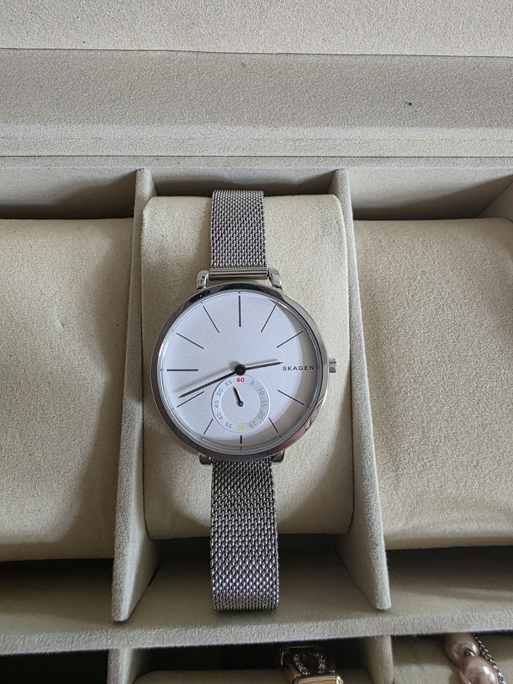 Skagen Unisex Silver Mesh Strap Watch - Silver Dial